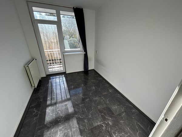 Marshallsingel 23025.JPG